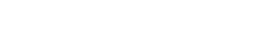 IncWorx - Microsoft Consultant