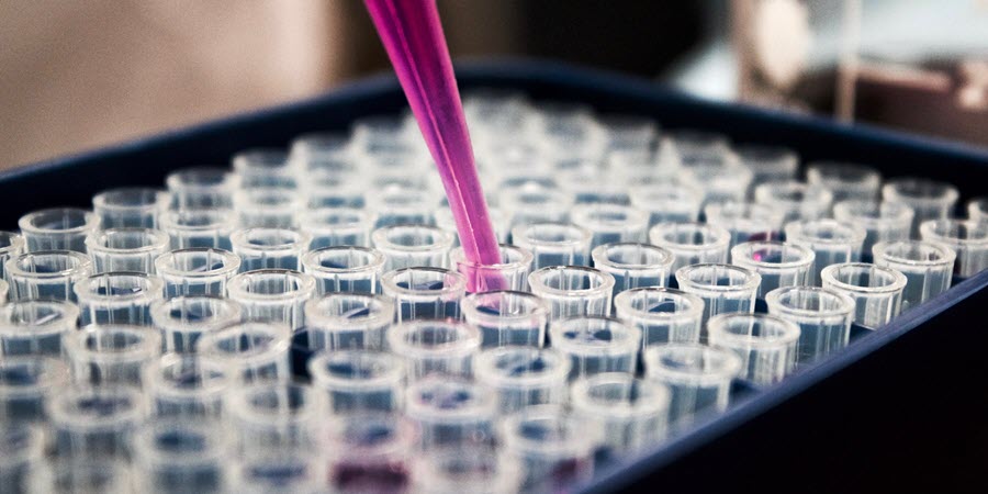 researcher play syringe in test tubes